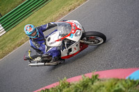 enduro-digital-images;event-digital-images;eventdigitalimages;mallory-park;mallory-park-photographs;mallory-park-trackday;mallory-park-trackday-photographs;no-limits-trackdays;peter-wileman-photography;racing-digital-images;trackday-digital-images;trackday-photos